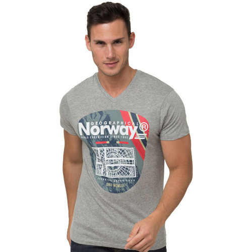 Vêtements Homme T-shirts & Polos Geographical Norway T-shirt - col V Gris