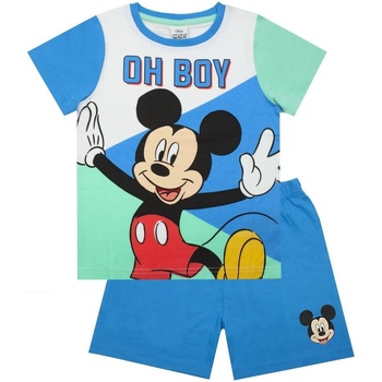 Vêtements Garçon Pyjamas / Chemises de nuit Disney  Bleu / Blanc / Vert clair
