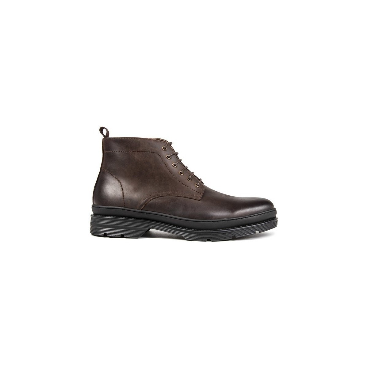 Chaussures Homme Boots Sole Muriel will Bottines Marron
