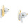 Montres & Bijoux Femme Boucles d'oreilles Cleor Boucles d'oreilles en or 375/1000 et zircon Multicolore