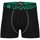 Vêtements Homme These Shorts / Bermudas Cipo And Baxx Boxer  pour Homme - CX101 Vert