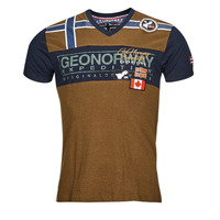Vêtements Homme T-shirts manches courtes Geographical Norway JARADOCK Taupe