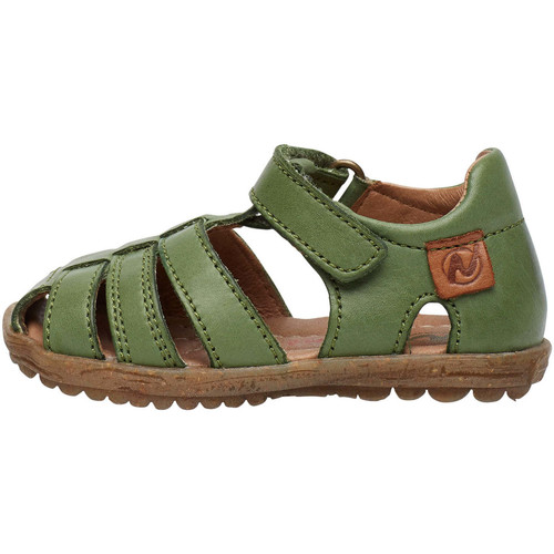 Chaussures Sandales et Nu-pieds Naturino Sandales semi-fermée en cuir SEE Vert