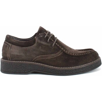 Chaussures Homme Boots IgI&CO 8113633 Marron