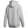 Vêtements Homme Sweats adidas Originals 3Dtf 3 Stp Hood Gris