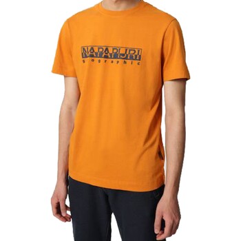 Vêtements Homme T-shirts manches courtes Napapijri Serber Print Orange