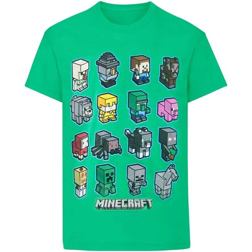 Vêtements Garçon T-shirts manches longues Minecraft  Vert