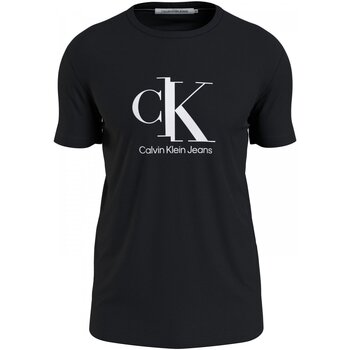 Vêtements Homme T-shirts manches courtes Calvin Klein Jeans J30J319713 Noir