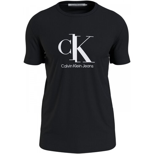 Vêtements Homme T-shirts manches courtes Calvin Klein Jeans J30J319713 Noir
