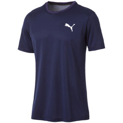 Vêtements Homme T-shirts & Polos Puma 851702-06 Bleu