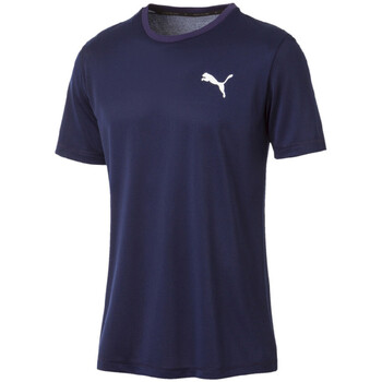 Vêtements Homme T-shirts enmbroidered-logo & Polos Puma 851702-06 Bleu