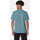 Vêtements Homme T-shirts & Polos Dickies M franky ss graphic tee Vert