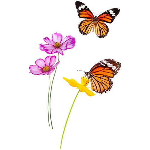 Maison & Déco Stickers Sud Trading Autocollant Mural Fleurs et Papillons Orange