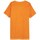 Vêtements Homme T-shirts manches courtes Outhorn TSM603 Orange