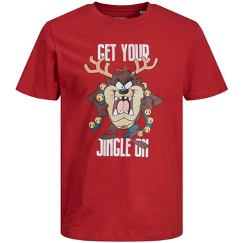 Vêtements Homme T-shirts manches courtes Jack & Jones 119209VTAH21 Rouge