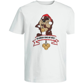 Vêtements Homme T-shirts manches courtes Jack & Jones 119210VTAH21 Blanc
