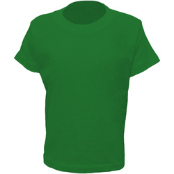 Vêtements Enfant T-shirts manches longues Casual Classics AB262 Vert