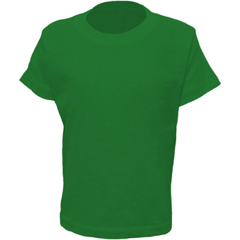 Vêtements Enfant T-shirts manches courtes Casual Classics  Vert