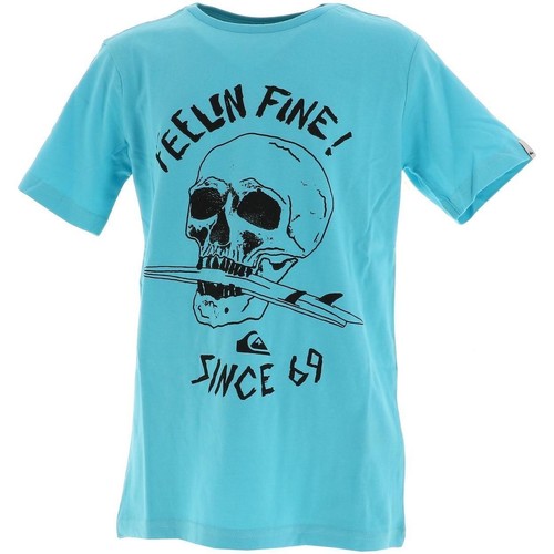 Vêtements Garçon T-shirts polo manches courtes Quiksilver Skull board flaxton tee jr sp2 Bleu