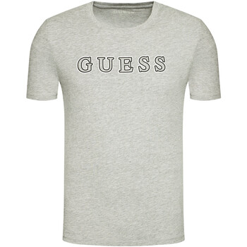 Vêtements Homme T-shirts manches courtes Guess - Tee-shirt - gris Autres