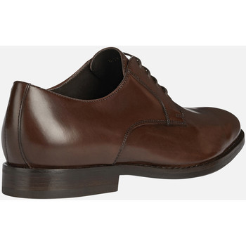 Derbies Geox U HAMPSTEAD marron foncé - Chaussures Derbies Homme 97 