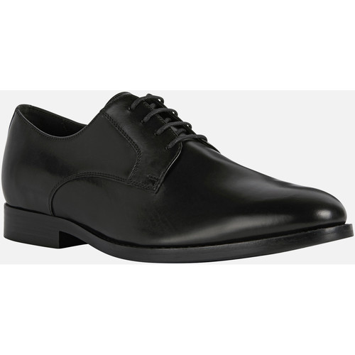 Derbies Geox U HAMPSTEAD noir - Chaussures Derbies Homme 97 