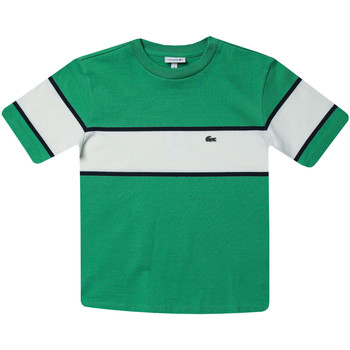 Vêtements Garçon T-shirts manches courtes Lacoste T-Shirt Panel vert