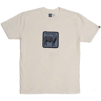 Vêtements Homme T-shirts manches courtes Goorin Bros Goorin Bros. Short-sleeved t-shirts black sheep - beige