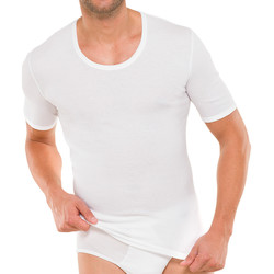Vêtements Homme T-shirts manches courtes Schiesser Short-sleeved t-shirts White blanc