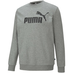Vêtements Homme Sweats Puma Sweaters Gris