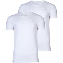 Vêtements Homme boss tee curved shirt 50412363 navy Gant Short-sleeved t-shirts blanc