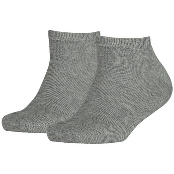 Accessoires Chaussettes Tommy Hilfiger Socks gris