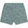 Vêtements Homme Maillots / Shorts de bain Panareha PLAKA Vert