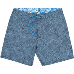 Vêtements Homme Maillots / Shorts de bain Panareha PLAKA Bleu