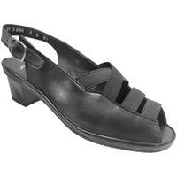 Chaussures Femme Sandales et Nu-pieds Marco Maeva Noir cuir