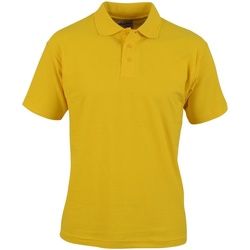 Vêtements Homme T-shirts & Polos Absolute Apparel AB104 Multicolore