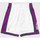 Vêtements Shorts / Bermudas Mitchell And Ness Short NBA Milwaukee Bucks 1996 Multicolore