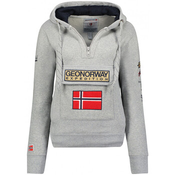 Vêtements Femme Sweats Geographical Norway WU6861F/GNO Gris