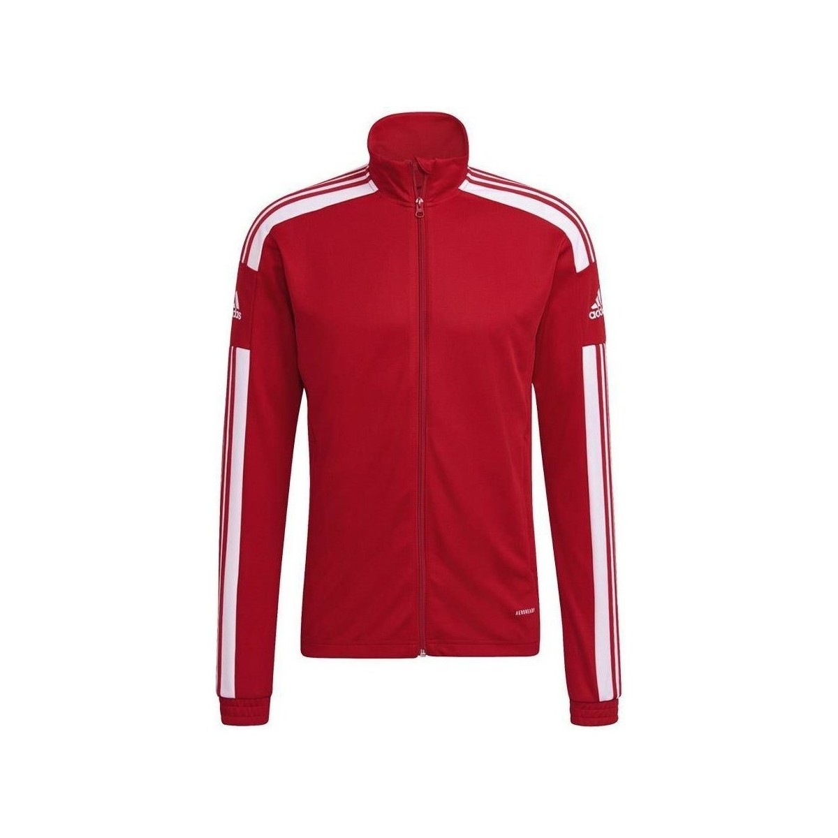 Vêtements Homme Sweats adidas Originals Squadra 21 Rouge, Blanc