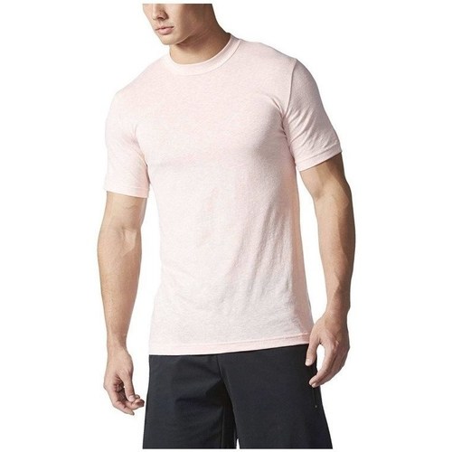 Vêtements Homme T-shirts manches courtes adidas Originals Basic Tee Rose