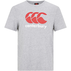Vêtements Homme T-shirts manches courtes Canterbury  Gris / Rouge / Blanc