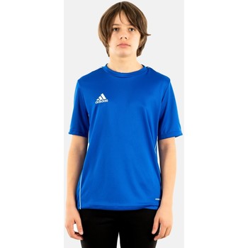 Vêtements Garçon T-shirts manches courtes adidas Originals cv3495 Bleu