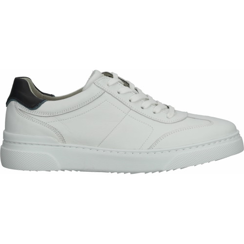 Chaussures Homme Baskets basses Pius Gabor Sneaker Blanc