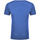 Vêtements Homme T-shirts manches longues Next Level Tri-Blend Bleu