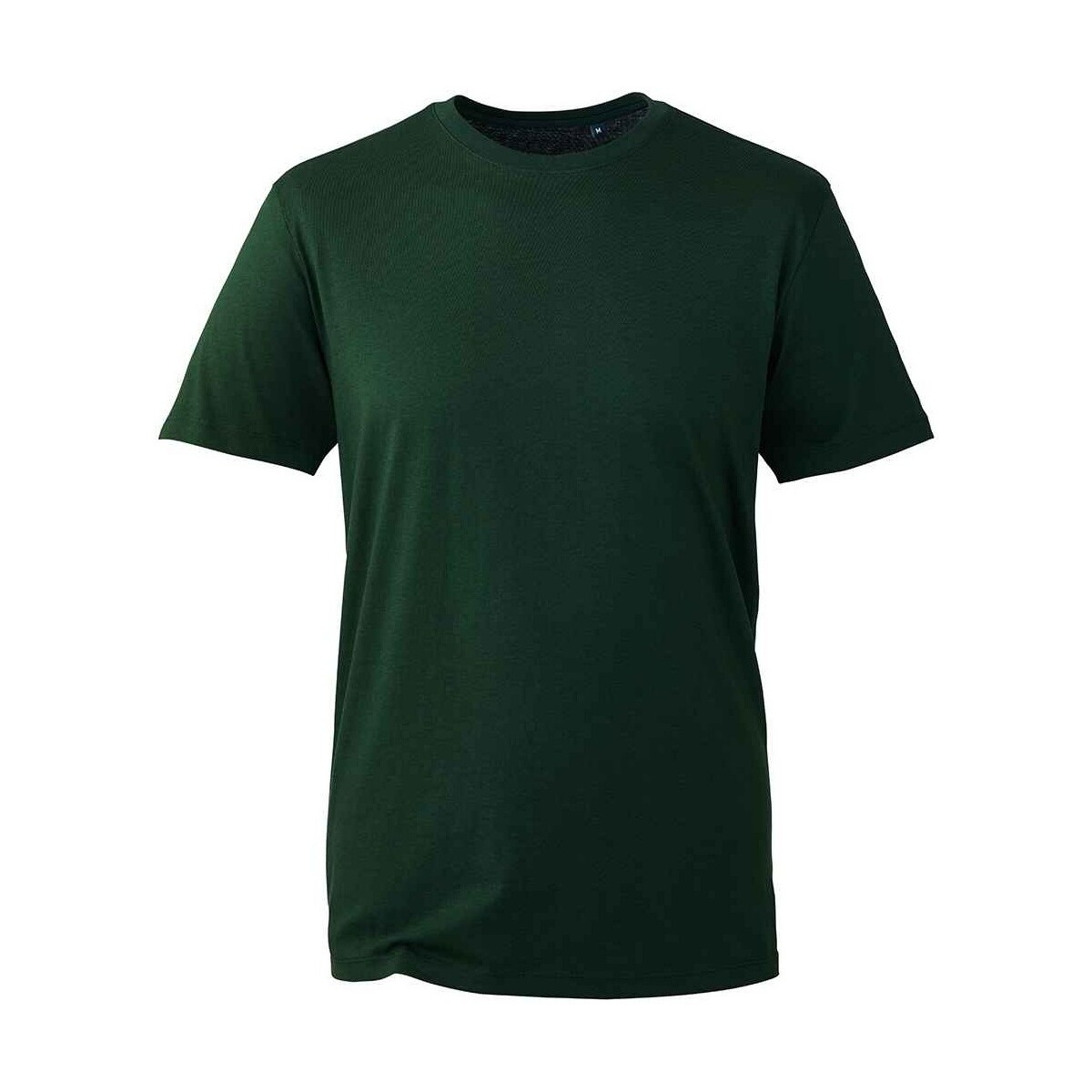 Vêtements Homme T-shirts manches longues Anthem AM10 Vert