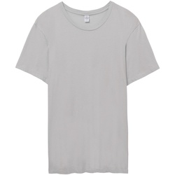 Vêtements Homme T-shirts manches courtes Alternative Apparel AT015 Gris