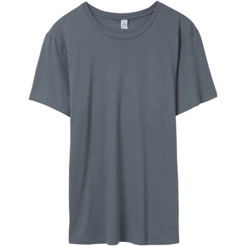 Vêtements Homme T-shirts manches courtes Alternative Apparel AT015 Multicolore