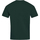 Vêtements Homme T-shirts & Polos Canterbury Club Vert