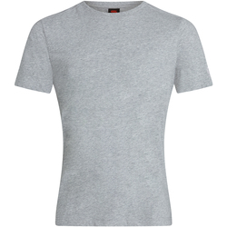 Vêtements Homme T-shirts manches courtes Canterbury CN226 Gris chiné