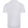 Vêtements Homme T-shirts & Polos Fruit Of The Loom SS229 Gris